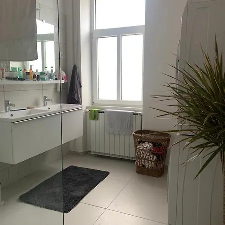 Newly Renovated Studio Near The Park And City *